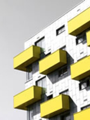 Đã có cách nhận biết Đông trùng hạ thảo chất lượng tốt